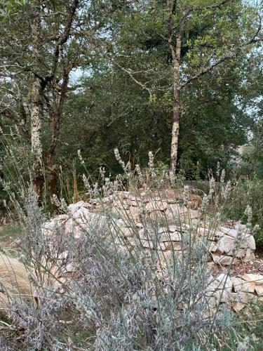 Φυσικό τοπίο κοντά σε αυτό το σαλέ