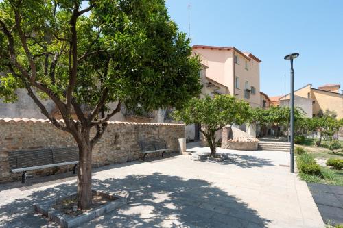 a park with two benches and a tree at Dimora Storica Lucia in Ascea