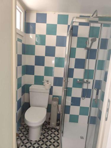 a bathroom with a toilet and a shower at La maison de Quitterie in Aire-sur-lʼAdour