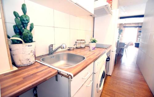 eine Küche mit Spüle und Arbeitsplatte in der Unterkunft EL RINCON DEL MARQUES entresuelo Junto a Catedral in Logroño
