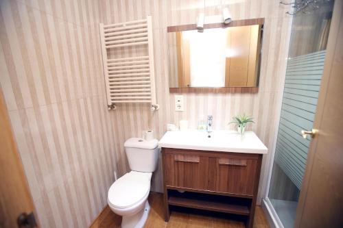 ein Badezimmer mit Toilette, Waschbecken und Spiegel in der Unterkunft EL RINCON DEL MARQUES entresuelo Junto a Catedral in Logroño