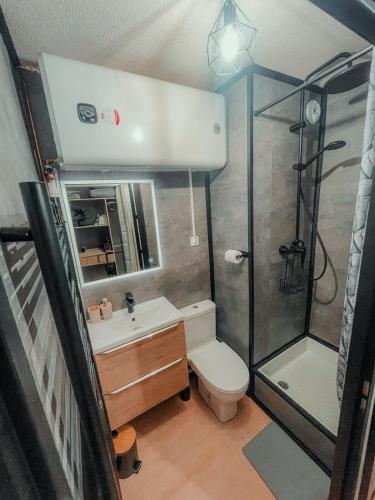 a bathroom with a shower and a toilet and a sink at Studio du voyageur, Gare, Centre, Europole, CEA in Grenoble