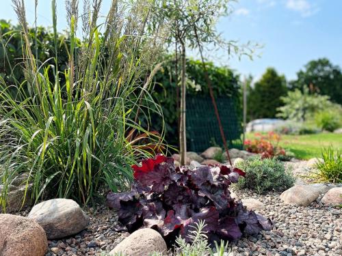 a garden with purple and red flowers and rocks at 4 person holiday home in ONSALA-By Traum in Onsala