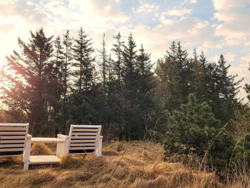 two white benches sitting in a field with trees at Luxury Retreat near Beach - By Traum Ferienwohnungen in Husby