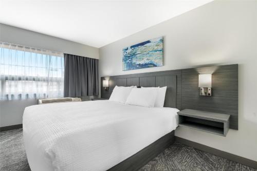 a hotel room with a large bed and a window at Best Western Prince George Downtown in Prince George