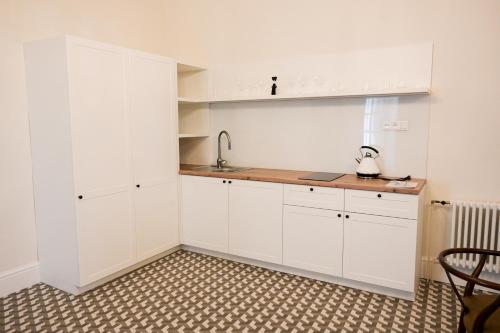 Kuchyň nebo kuchyňský kout v ubytování Apartmány Wetzlerov dom