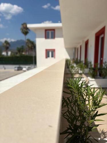 a white building with a plant in front of it at Albergo Santa Croce in Giffoni Sei Casali