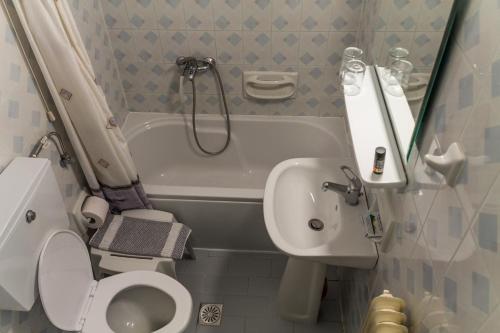 een kleine badkamer met een toilet en een wastafel bij Neos Omalos Hotel in Omalós