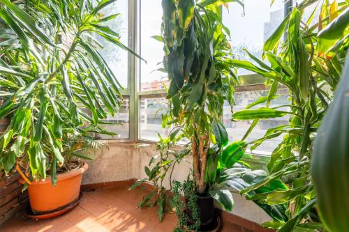 Apartamentos Goya - Apartamento con 2 Dormitorios en Madrid centro, terraza, cocina y fast WiFi
