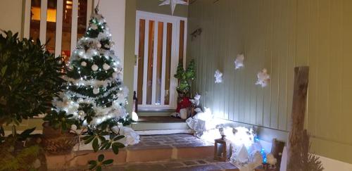 a christmas tree in the corner of a room at Chambre d'hôte - La Maison Verte in Charmes