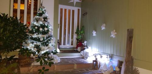 a christmas tree in the corner of a room at Chambre d'hôte - La Maison Verte in Charmes