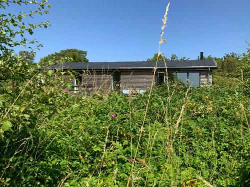 Κήπος έξω από το Renovated Holiday Home With Sea View On Agersø