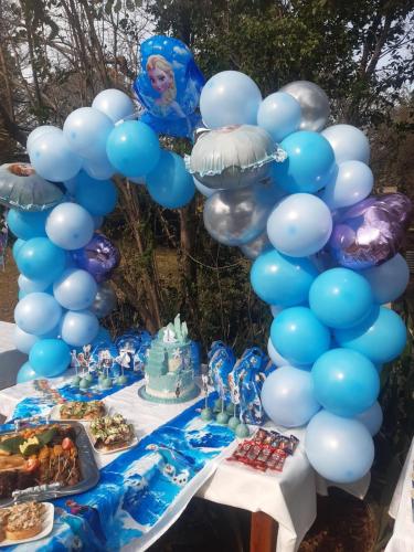 a table with a bunch of blue and silver balloons at Lavender Lane in Ladysmith