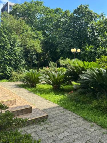 a garden with steps and plants and trees at Guest House Giorgi in Makhinjauri