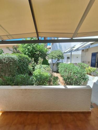 Perdika Mare Guesthouseにある庭