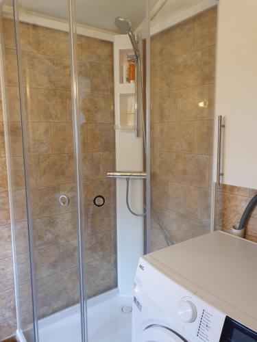 a shower with a glass door in a bathroom at Feriehus med utsikt mot fjellet Hoven in Smedvik