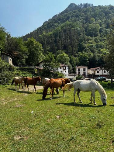 Gallery image of ALBERGUE DE LASTUR in Deba