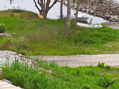 Φυσικό τοπίο κοντά σε αυτή η παραθεριστική κατοικία