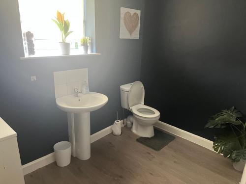 a bathroom with a toilet and a sink at Spacious 2 Bed Ribble Valley Apartment in Blackburn