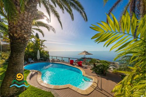 a swimming pool with a palm tree and the ocean at OurMadeira - Vista Grande in Caniço
