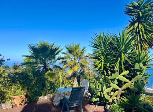 Foto Finca Tenerife - Traumblick, tropischer Garten, viel Platz & Ruhe 6