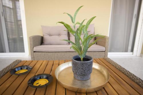 a plant in a vase sitting on a wooden table at Skye urban oasis in Tripolis