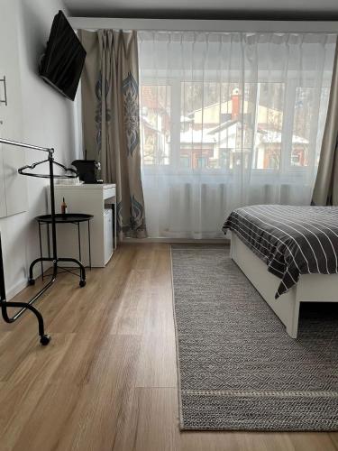 a bedroom with a bed and a window and a rug at Accommode in Sinaia