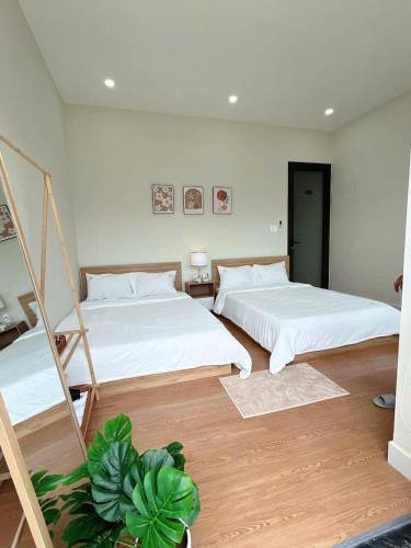 a bedroom with two beds and a plant at Giao Homestay in Thôn Văn Dương