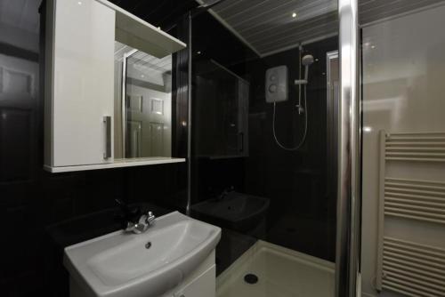 a bathroom with a sink and a mirror and a shower at Dartside 2 in Dartmouth