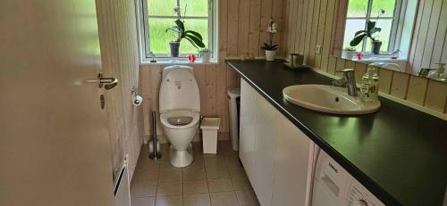 łazienka z toaletą i umywalką w obiekcie Cozy Cottage Just 300 M From Høve Beach w mieście Asnæs