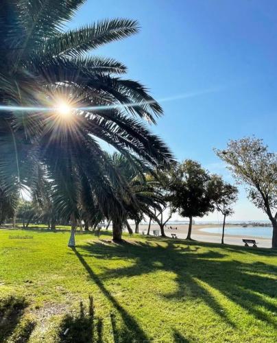 Heart of Yesilkoy-Green village