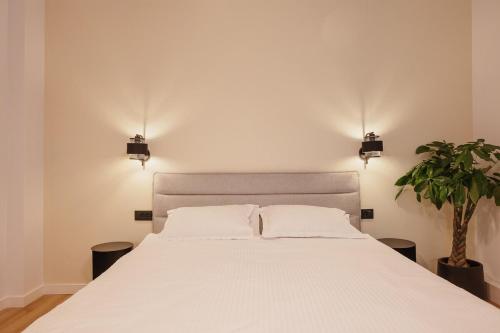 a bedroom with a white bed and a plant at TripON cozy spot in Cluj-Napoca