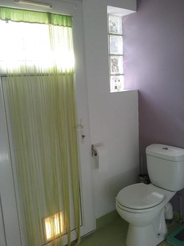 a bathroom with a toilet and a shower curtain at Chambre cosy in Rezé