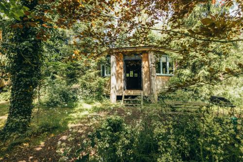 an old house in the middle of a forest at West Lexham Retreat in Kings Lynn