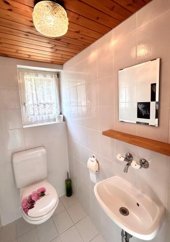 a bathroom with a white toilet and a sink at Wunderschöne Maisonette-Ferienwohnung in stattlichem Toggenburgerhaus in Sankt Peterzell