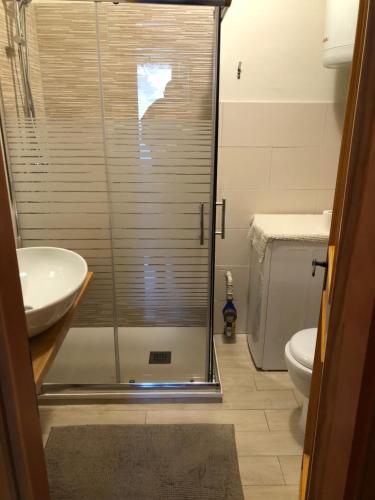 a bathroom with a shower and a sink and a toilet at Casa Solidea in Moena