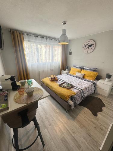 Studio Le Voyageur 24 m2