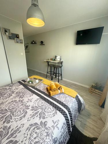 Studio Le Voyageur 24 m2