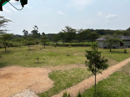 a field of grass with a house in the background at Ishasha Pride Lodge in Kihihi