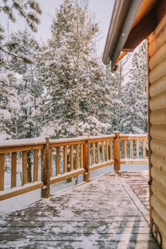 The Timber A-Frame✦Large Deck✦Hot Tub✦BBQ v zimě