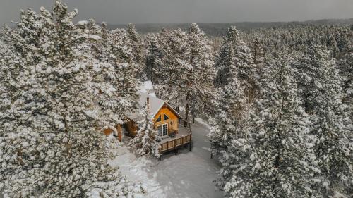 The Timber A-Frame✦Large Deck✦Hot Tub✦BBQ v zimě