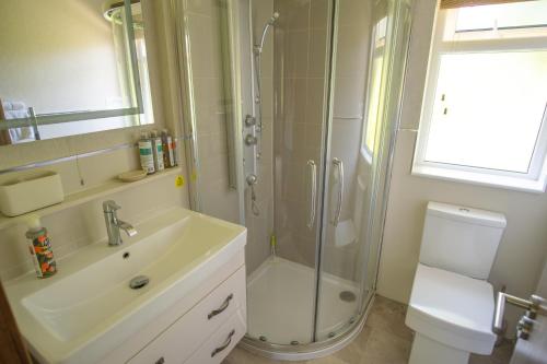 a bathroom with a shower and a sink and a toilet at Welhams Meadow Holiday Lodges in Ringshall