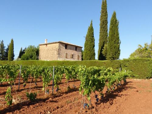 a vineyard with a building and trees in the background at Private Pool in Provence in La Motte