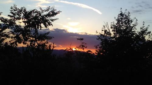 a sunset seen through the silhouettes of trees at Agriturismo Ca' di Mazza in Monzuno