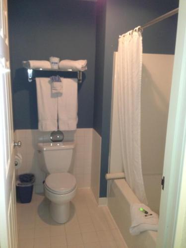 a bathroom with a toilet and a shower with towels at Fontana Village Inn in Lake Geneva