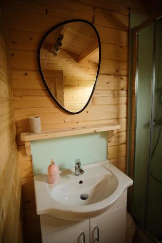 a bathroom with a sink and a mirror at Welhams Meadow Holiday Lodges in Ringshall
