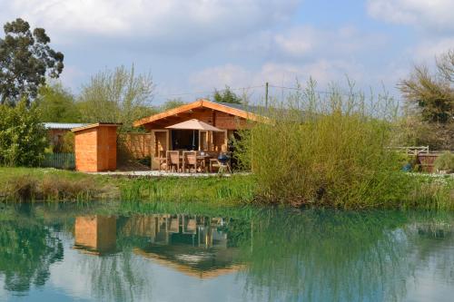 a house next to a body of water at Welhams Meadow Holiday Lodges in Ringshall