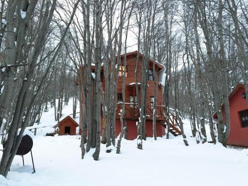 Το Cabañas Bosque Del Faldeo τον χειμώνα