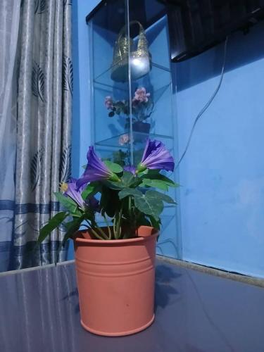 a flower pot sitting on a window sill with a plant at Ifa Apartment in Kiembi Samaki