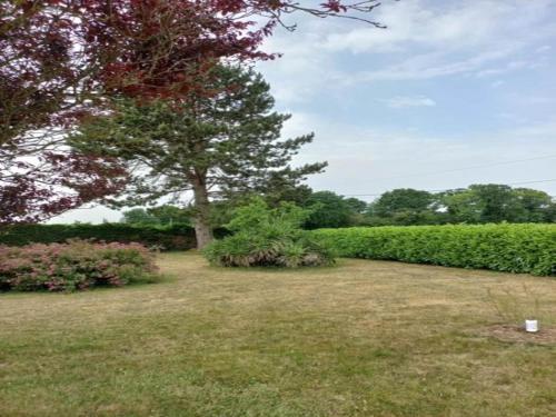 a park with a tree and some bushes at Charming Breton house in Hénansal in Hénansal